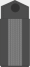 Младший вахмистр (чин) ком.png