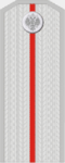 Есаул (чин).png