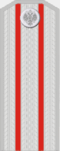 Казачий полковник (чин).png