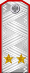 Казачий генерал (чин).png